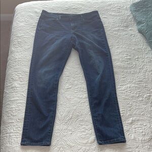Ann Taylor Loft Modern Skinny Jean